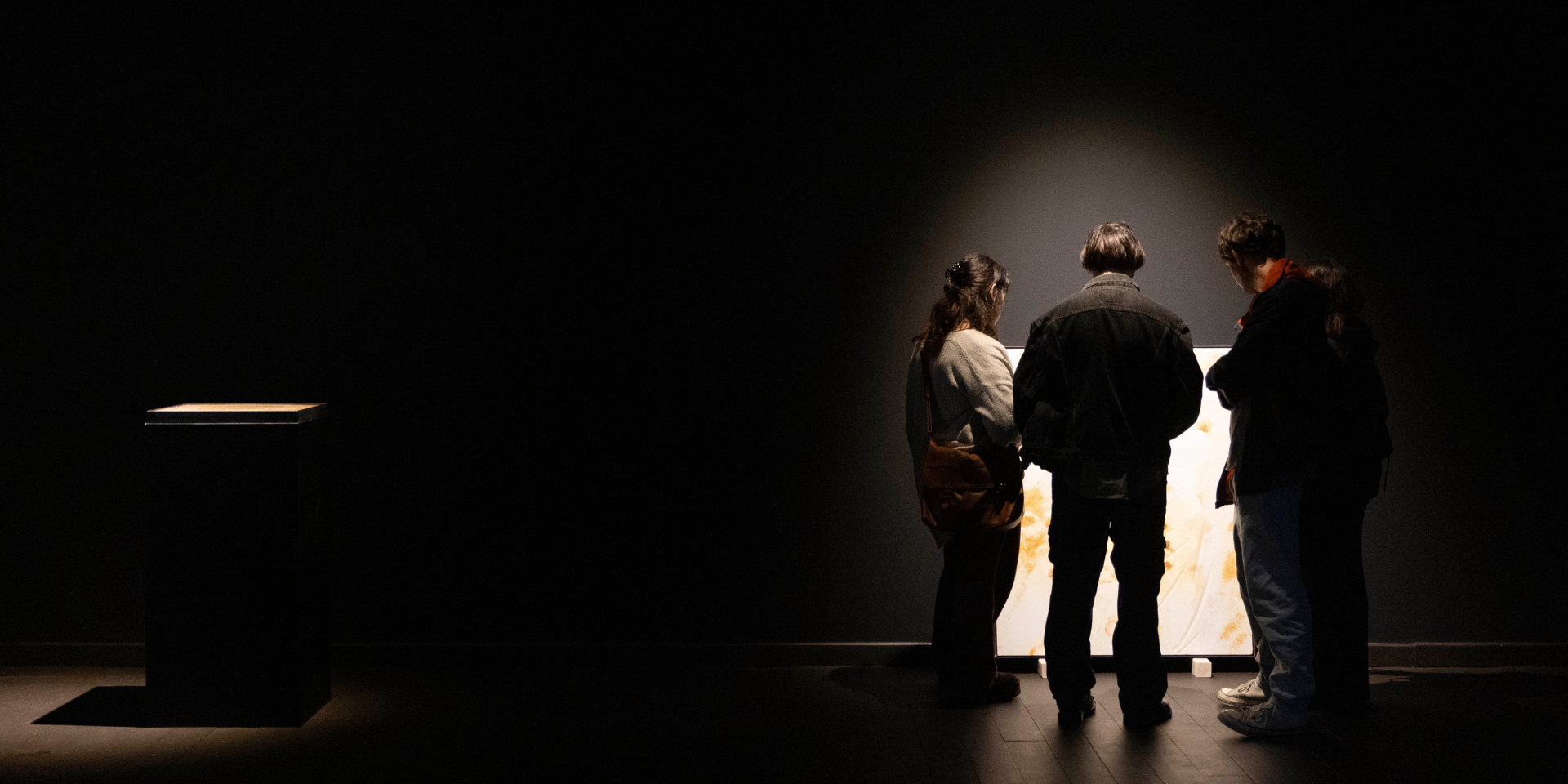 Dusts mostra organizzata da marte in concomitanza con il festival Transmissions XVI