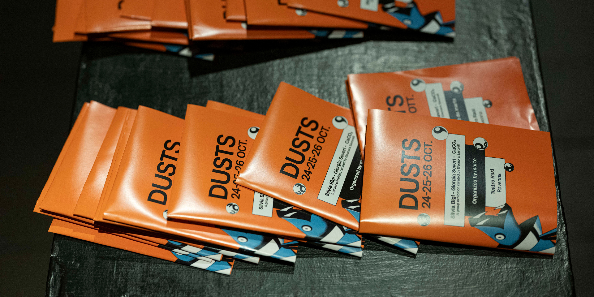 Dusts mostra organizzata da marte in concomitanza con il festival Transmissions XVI